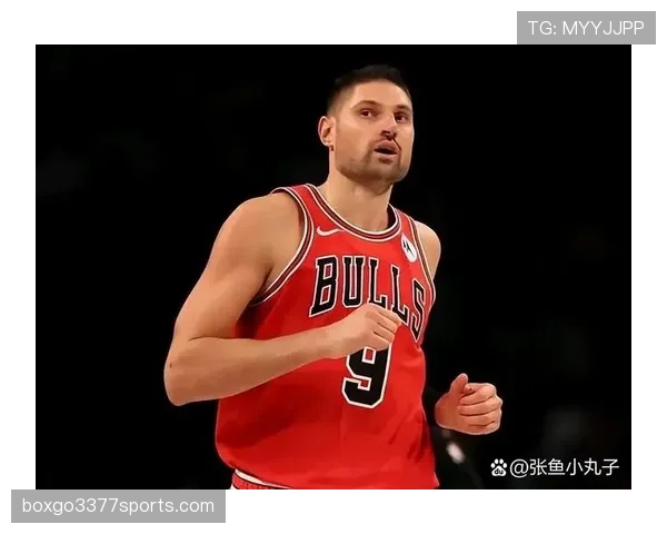 武切维奇低位单打高效，非约基奇式策应